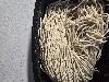 Fresh/Frozen Ramen Alkaline Noodles ROTATING FEATURES